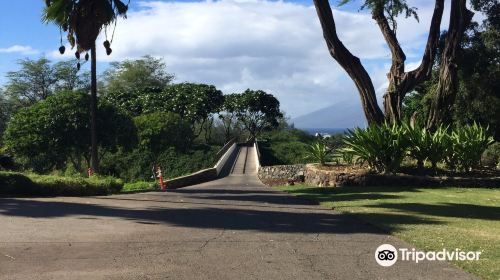 Wailea Old Blue Course