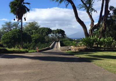 Wailea Blue Golf Course