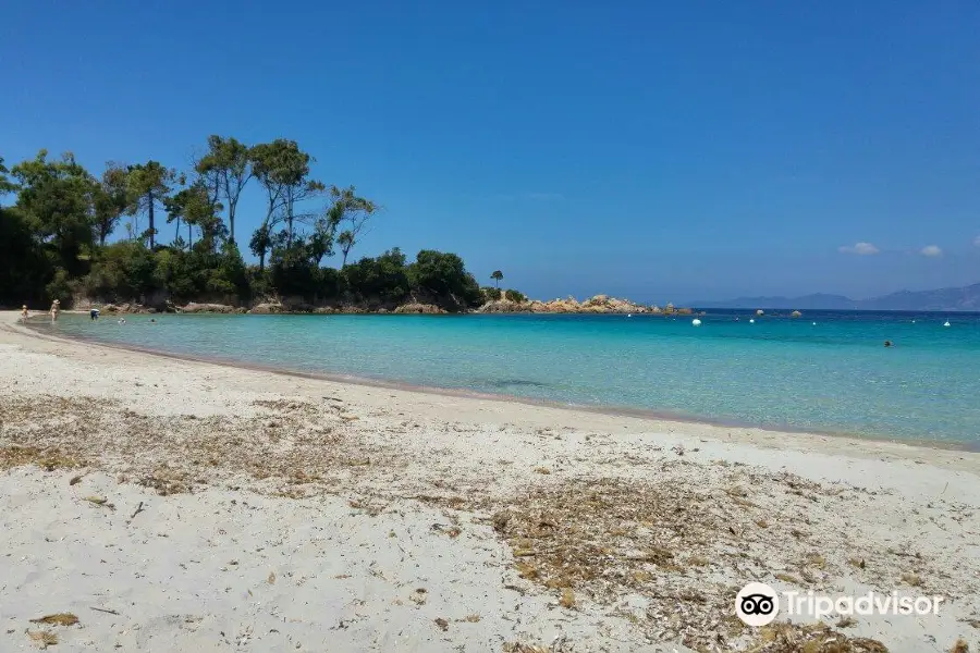 Plage de Ruppione