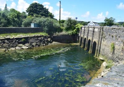 RSPB Hayle Estuary