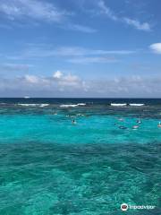 Grand Cayman Wall