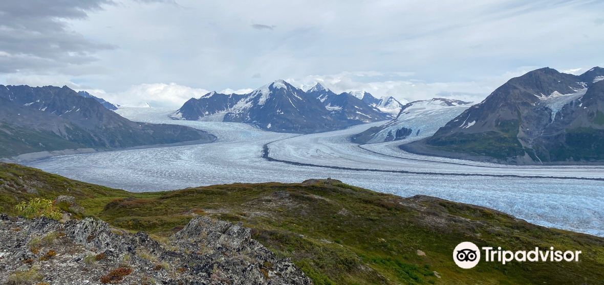 Things to Do in Knik River in 2025 - Top Attractions, Local Food ...