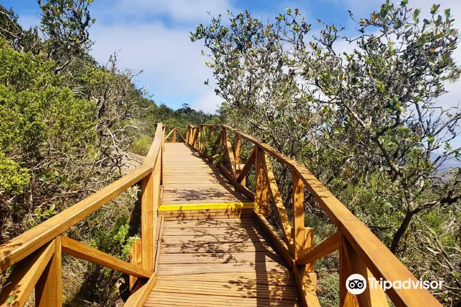 Fray Jorge National Park