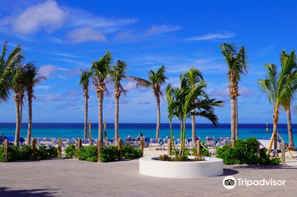 Grand Turk