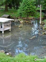 Sulphur Spring Conservation Area