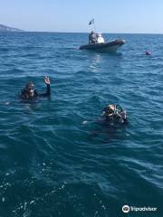 Дайв-центр "Black Sea Diving College"