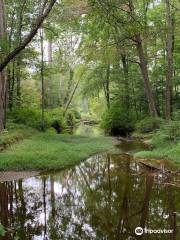 Cedarville State Forest