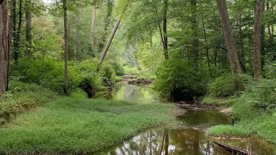 Cedarville State Forest