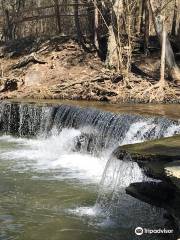 Caesar Creek Gorge State Nature Preserve