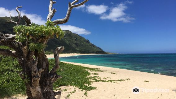 Mokulēʻia Beach Park