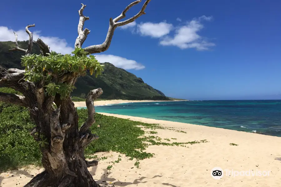 Mokuleia Beach Park