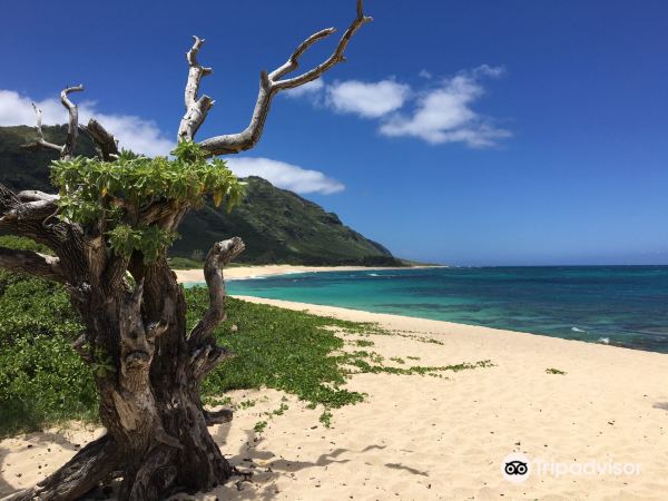 Mokulēʻia Beach Park