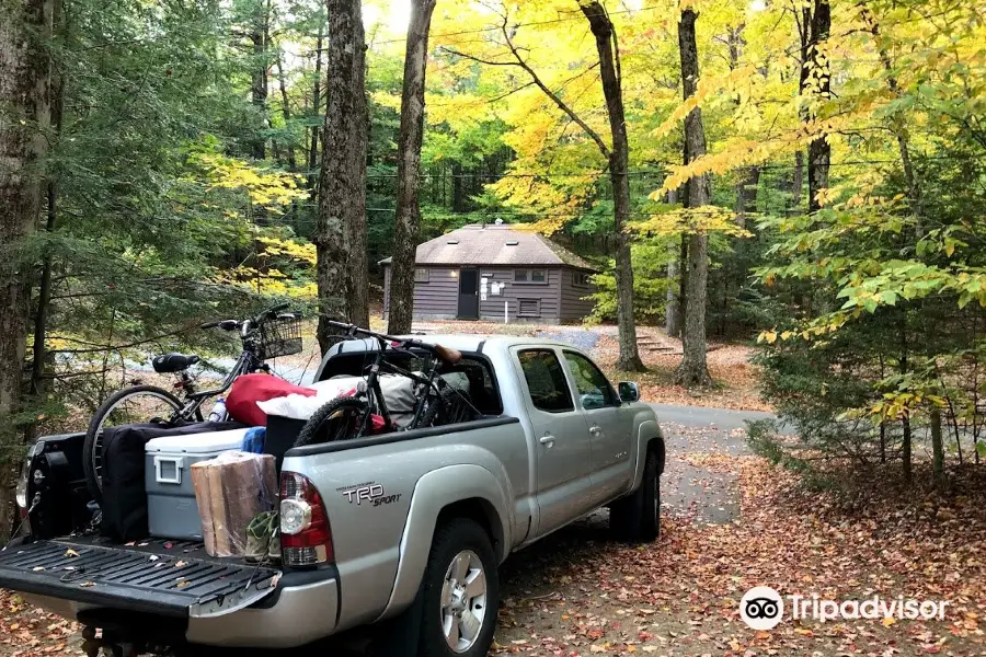 Tolland State Forest