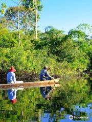 Amazonian Trails