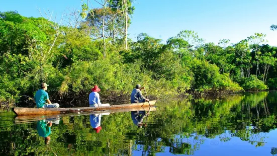 Amazonian Trails