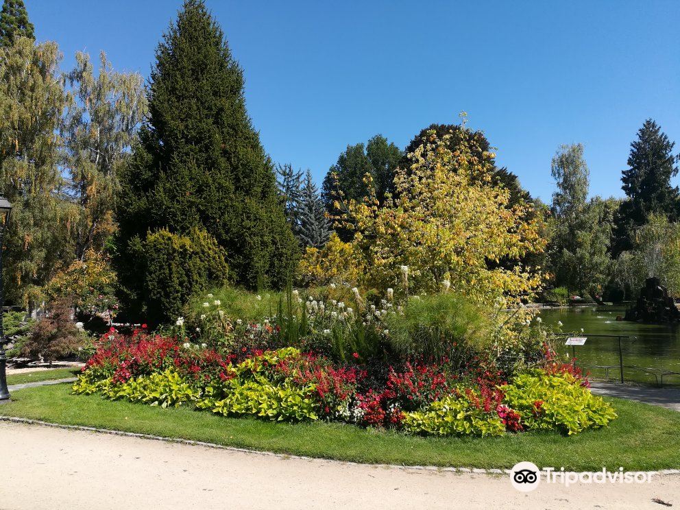 Henri Vinay Garden