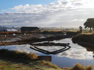 LES SALINES
