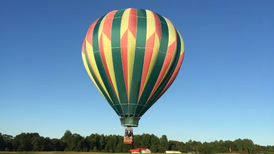 Bird's-Eye Balloon Rides