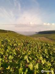 Domaine Laroche - L'Obédiencerie (Siège social)