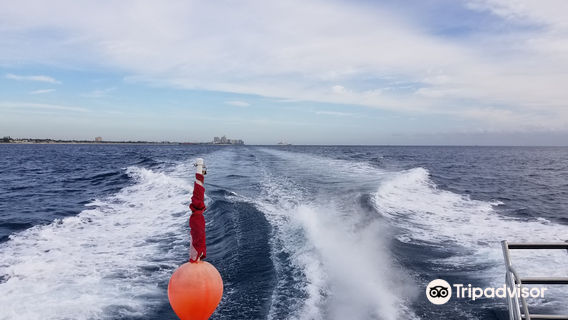 Walker's Dive Charters