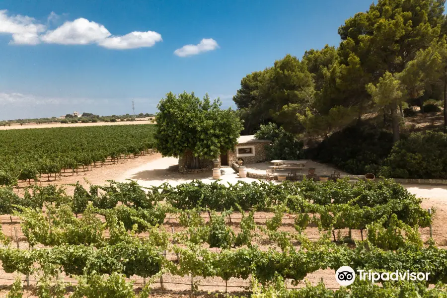 Bodegas Bordoy