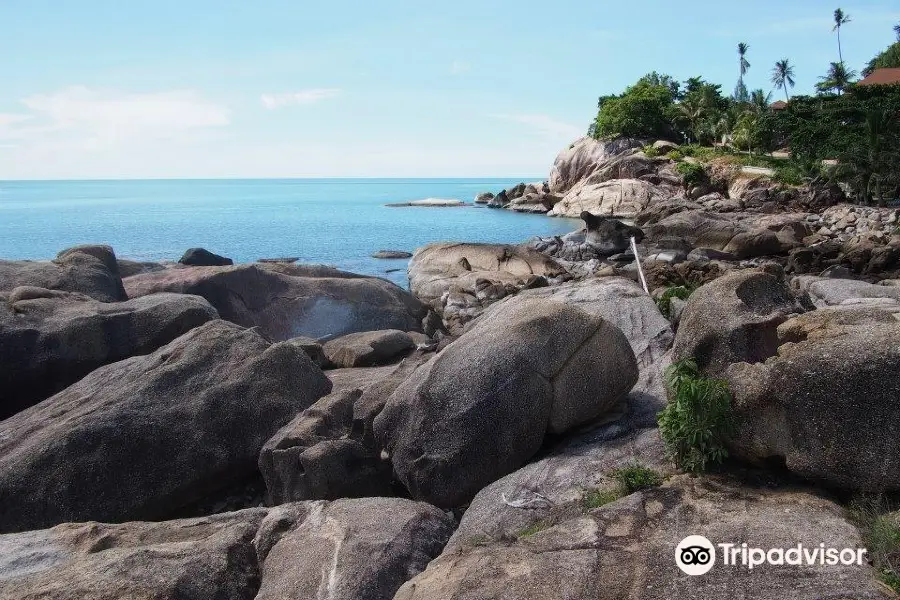 The Snorkeling Point of Koh Samui - Hi Coral Cove Bungalow