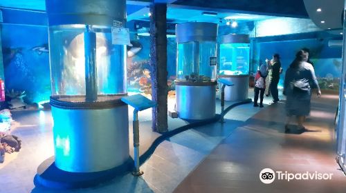 Labuan Marine Museum