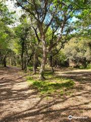 Parc naturel départemental de Vaugrenier