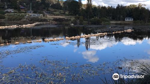 Goulburn Wetlands