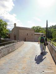 Bosco di San Francesco