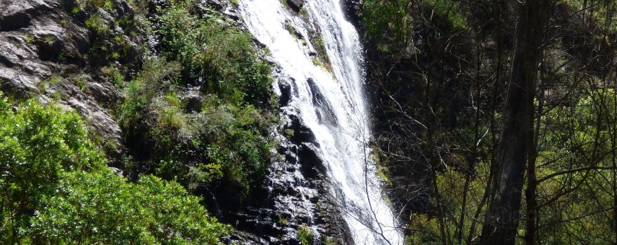 Basin Creek Falls