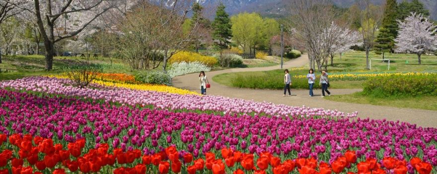 Alps Azumino National Government Park (Horigane, Hotaka)