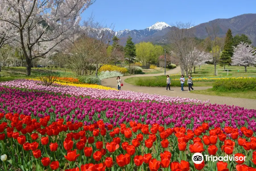 Alps Azumino National Government Park - Horigane/Hotaka