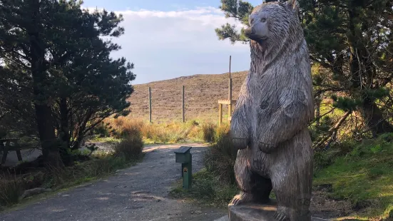 Hercules the Bear Sculpture