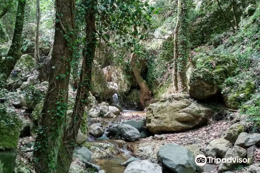 Boriana Gorge