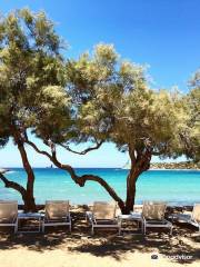 Palm Beach Paros