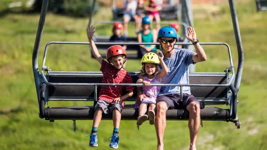 Skyline Luge Calgary