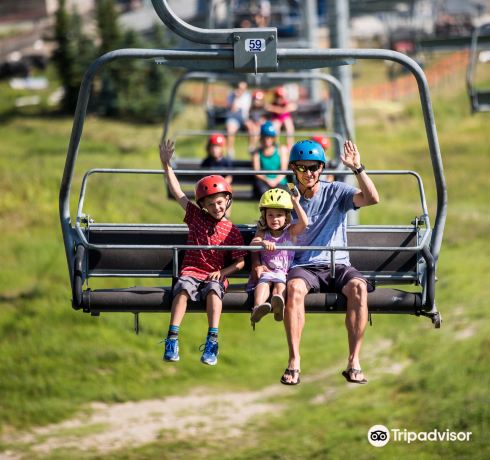 Downhill Karting by Skyline