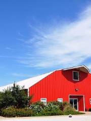 "THE BIG RED BARN" - The Texas Agricultural Education & Heritage Center