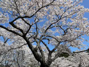 芦野公園