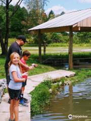 Morgan Mill and Balsam Grove Trout Fishing