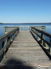 Reelfoot Lake