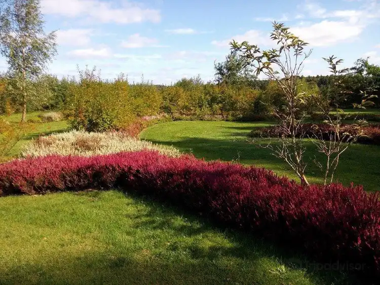 Hotels in Mellenthin