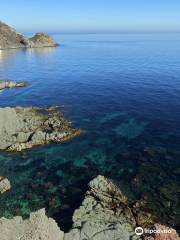 Snorkel Cabo de Gata