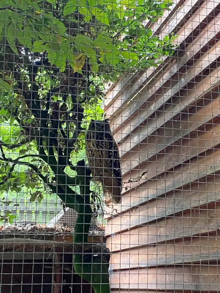 Hotels in der Nähe von Wildpark Differten