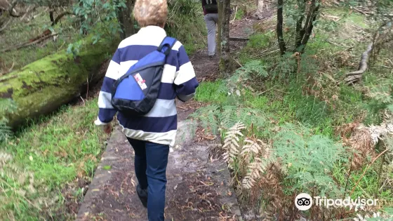 Baldry Circuit Walking Tracks
