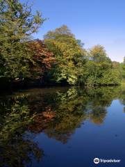 Danbury Country Park