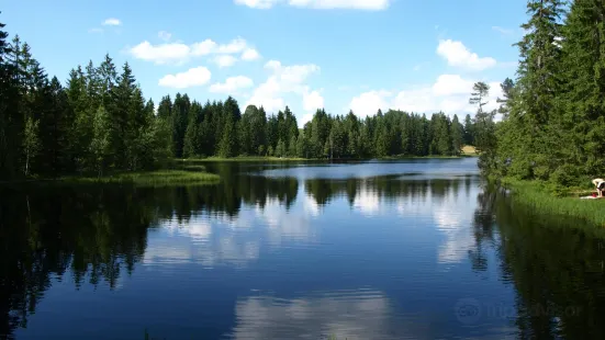 Etang de la Gruère