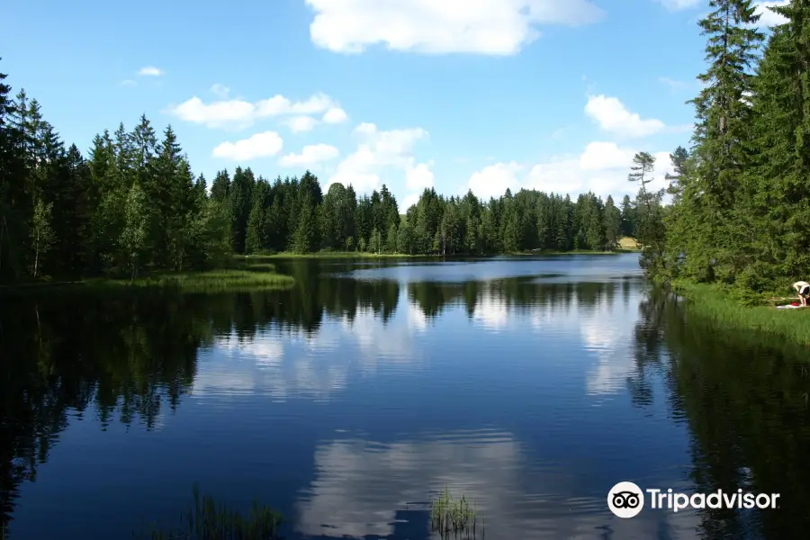 Etang de la Gruère