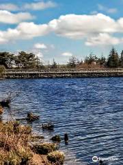 Fernworthy Reservoir